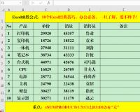 Excel经典技巧：Excel快速计算总销售额